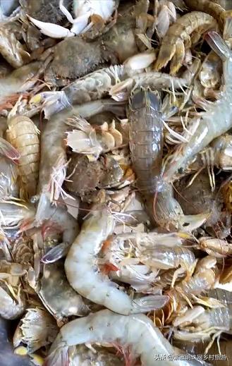 乐亭韩姐农家院价格,韩姐在乐亭农家最新视频