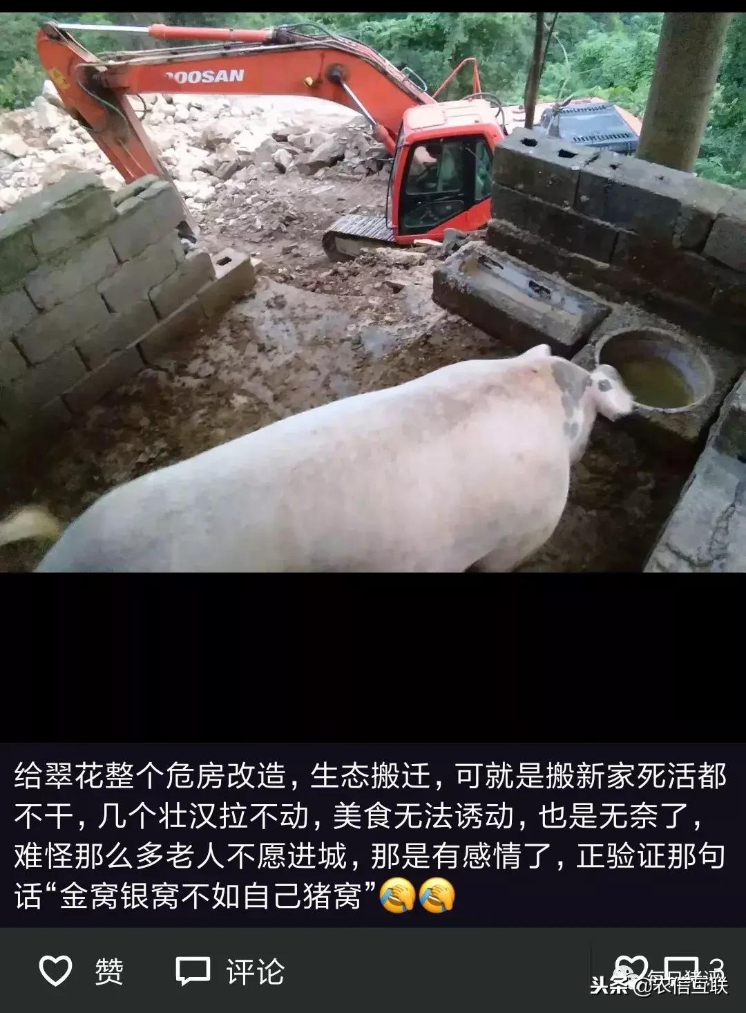 深度好文100个故事,深度好文复盘20年前