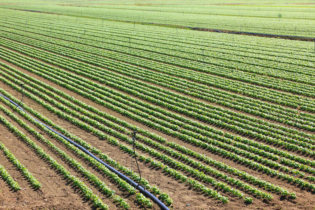 流转土地乙方违约怎样收回土地,农村土地被占用如何起诉追回