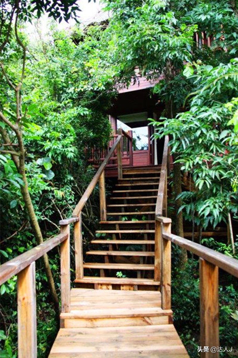 小天越南直播,小天独家视频全集