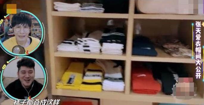 女明星的衣柜图片大全,女明星衣柜效果图