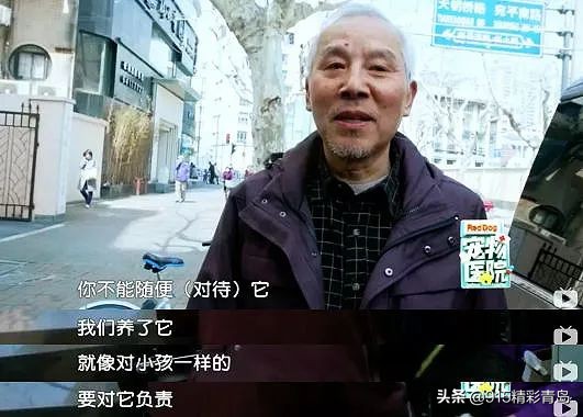 虐猫人士杀死中国留学生案件,虐猫者杀害中国留学生