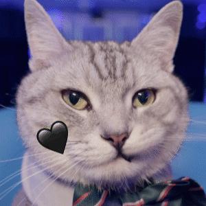 夏天如何选一个有质感的白t,夏日白t大小怎么选合适