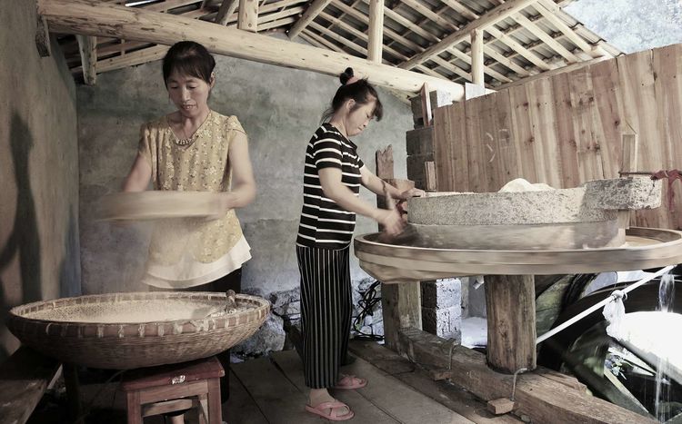8月向日葵云海（徽州百工、黟县的朋友圈、瓷都景德镇）采风