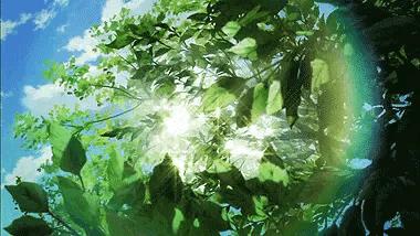 听,夜莺一直在歌唱(十四)