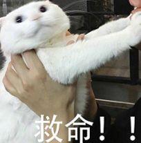 wildfieldhealth多喝水真的好吗,wildfieldhealth天天喝酸奶好吗