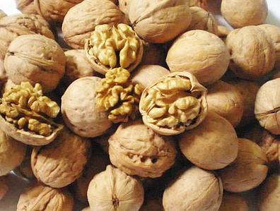 磁山文化核桃,走进磁山文化博物馆