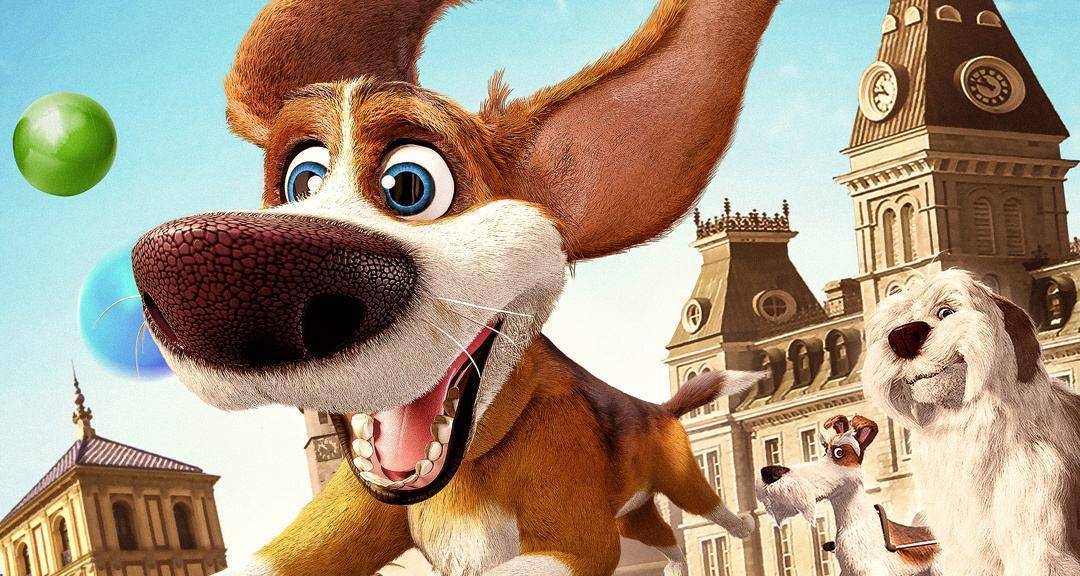 初次养狗如何选养的狗,什么品种的狗狗适合有孩子家庭养