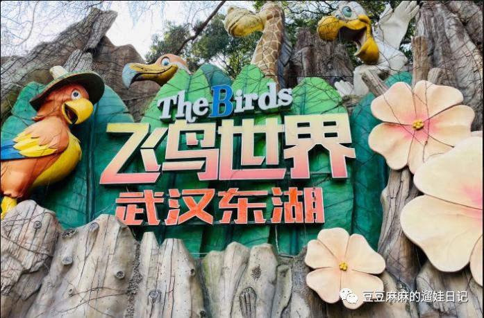 飞鸟和蝉动物世界,飞鸟动物王国