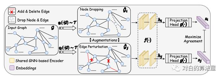 万物皆ContrastiveLearning，从ICLR和NIPS上解读最新研究进展