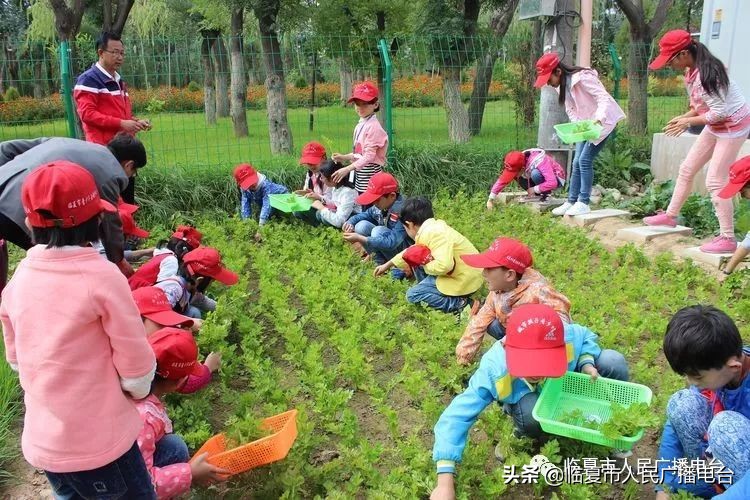 临夏市青少年学校外活动中心,临夏儿童暑假训练营