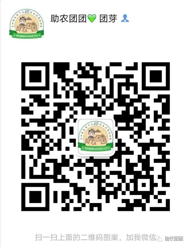 贵州助农团团最新视频,助农团团直播回放