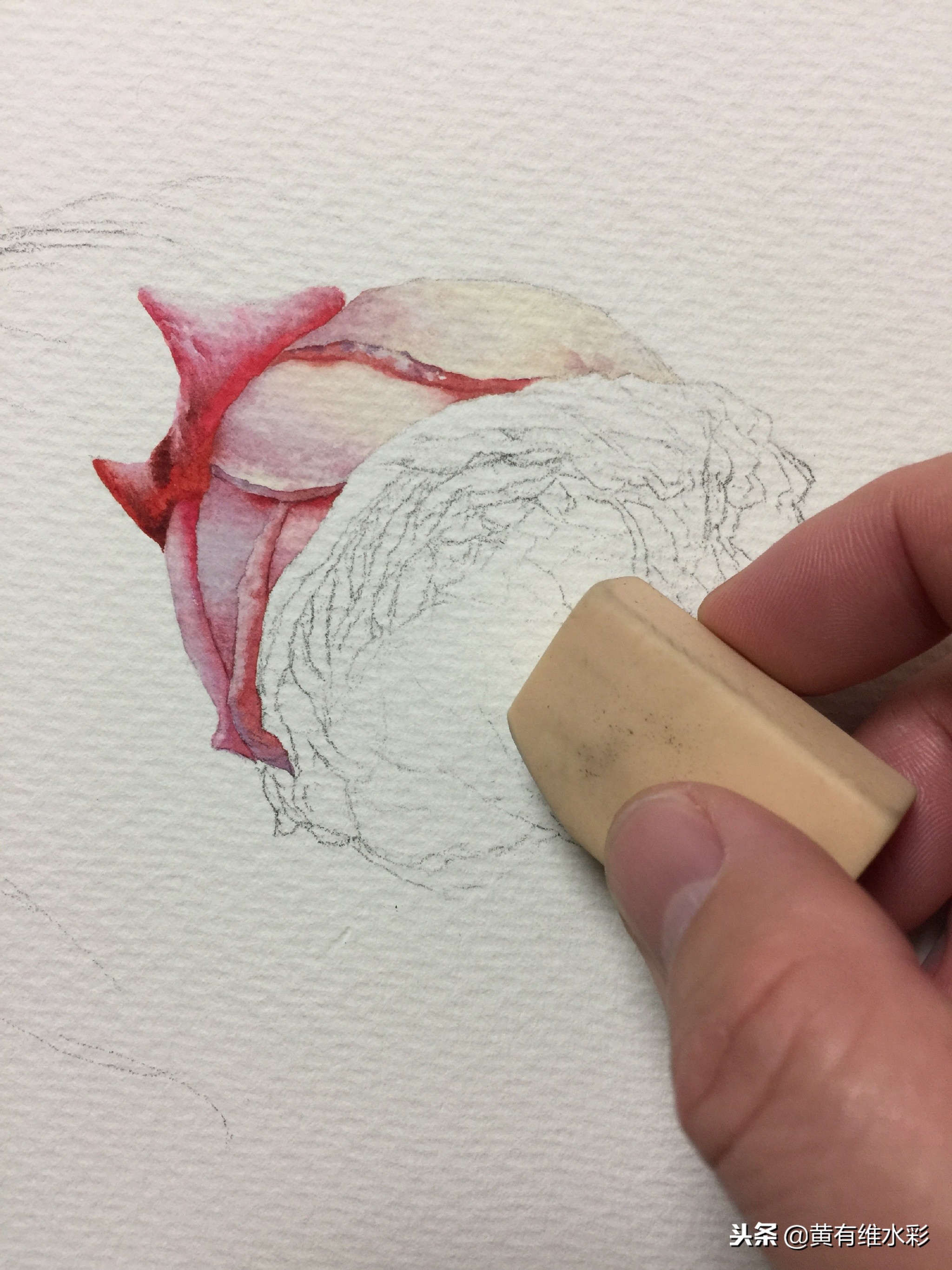 水彩教程简单好看手绘图片,水彩教程画花