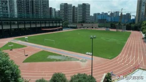 世警会游玩视频,世警会时间安排表