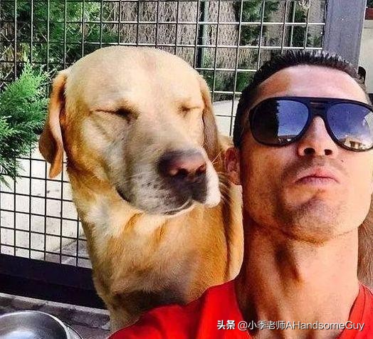 男足无缘世界杯了吗,国足是没踢进世界杯吗