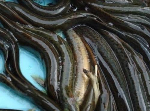 邵阳的十大首富,邵阳的十大女明星