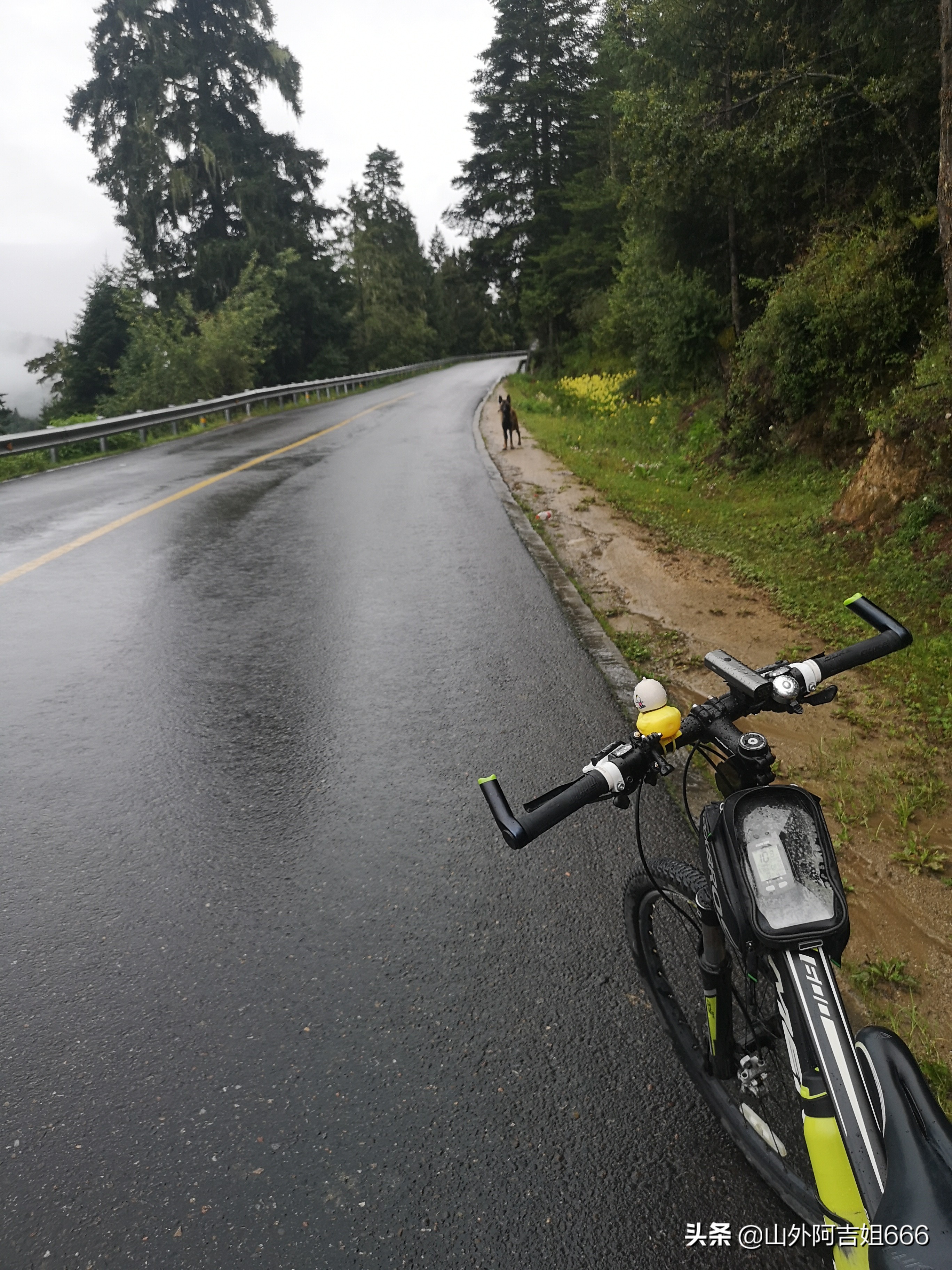 阿吉姐无搭车骑行318川藏线日记--雨天翻越海拔4720的色季拉山