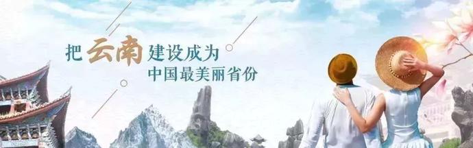 董明珠在中国品牌节演讲,董明珠参加中国企业高峰论坛