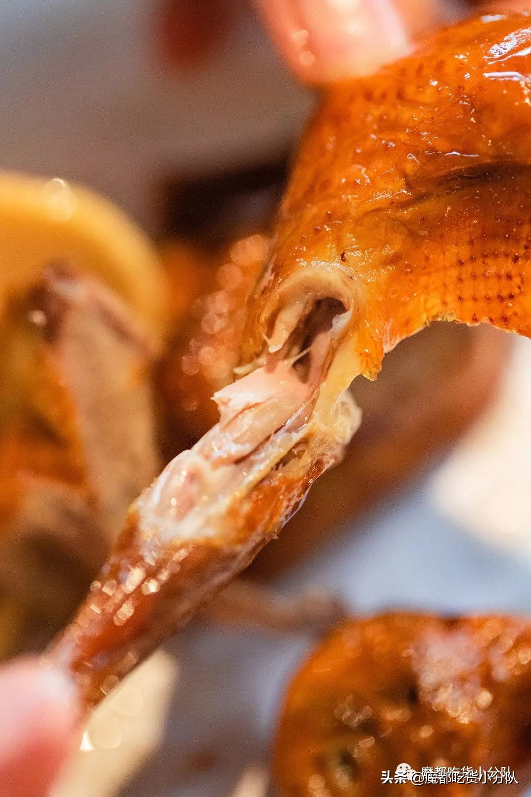 上海当地人都喜欢的店,在广东的上海人