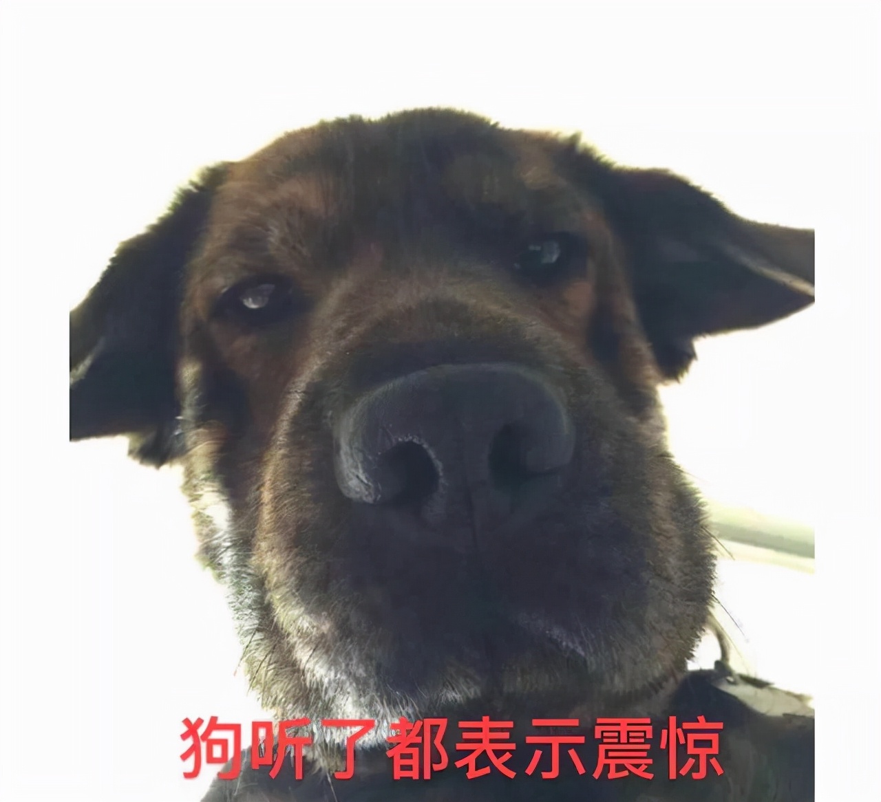 踢最臭的球，挣最多的钱，连足行健也拯救不了的今古传奇——男足