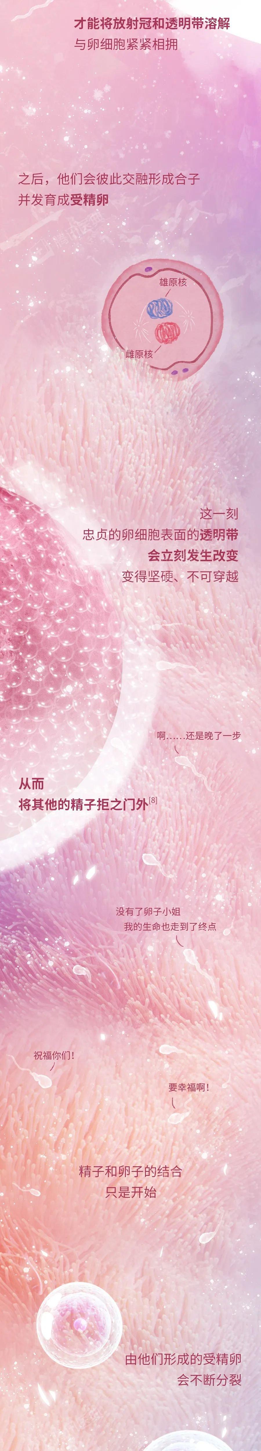 精子进入她身体里的24小时