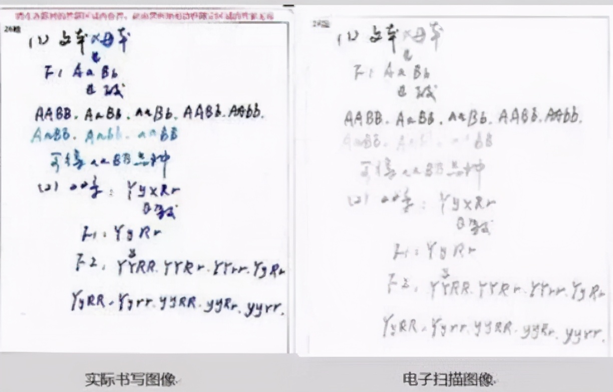 中考电子阅卷*规则潜**，答案相似分数却有高低，2021中考生要避开