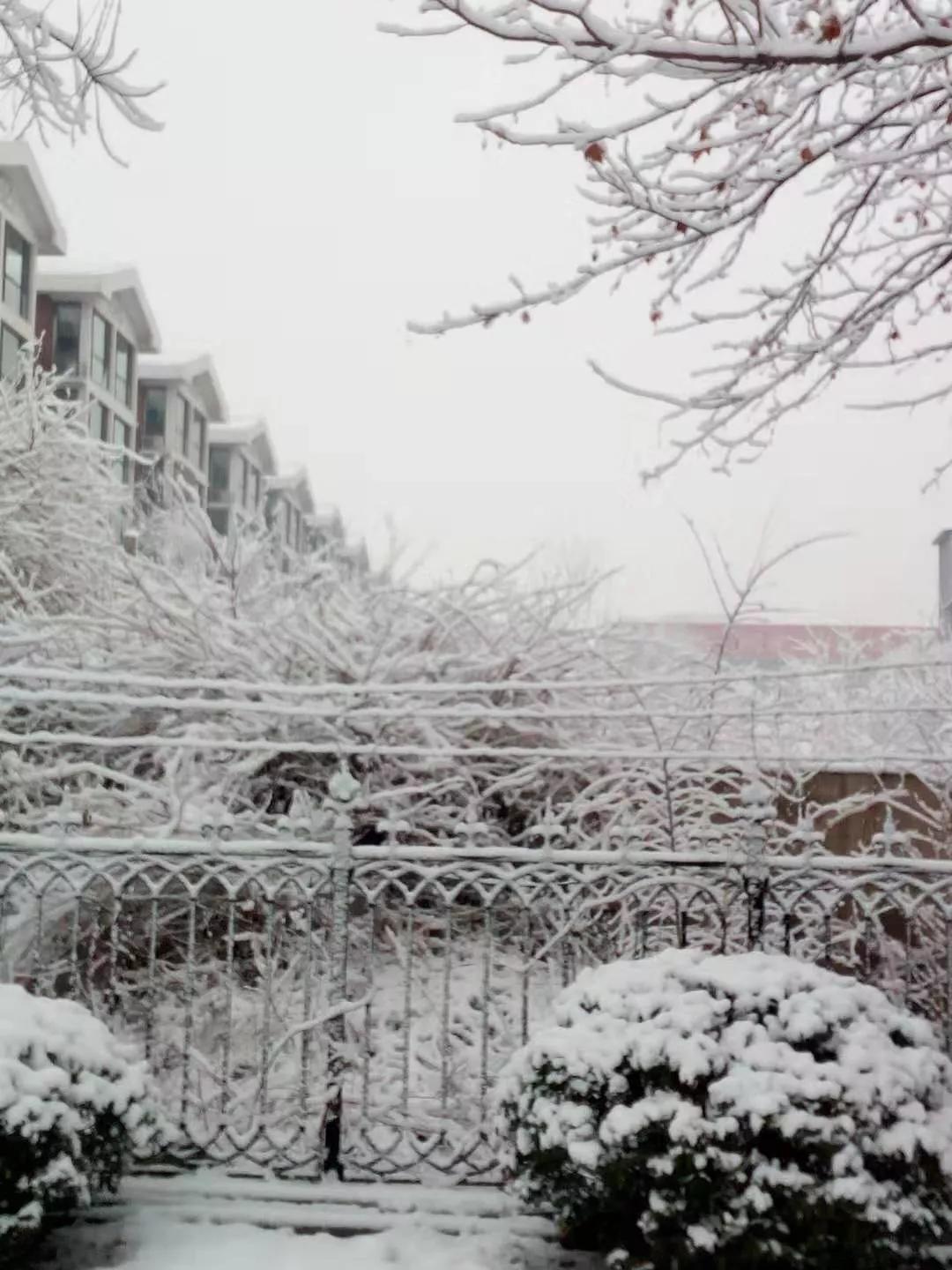 玉田雪化了吗,雪后有什么变化