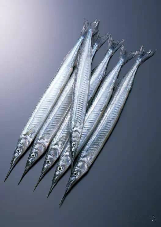 史上最全海鲜视频,史上最全海鲜贝类大全