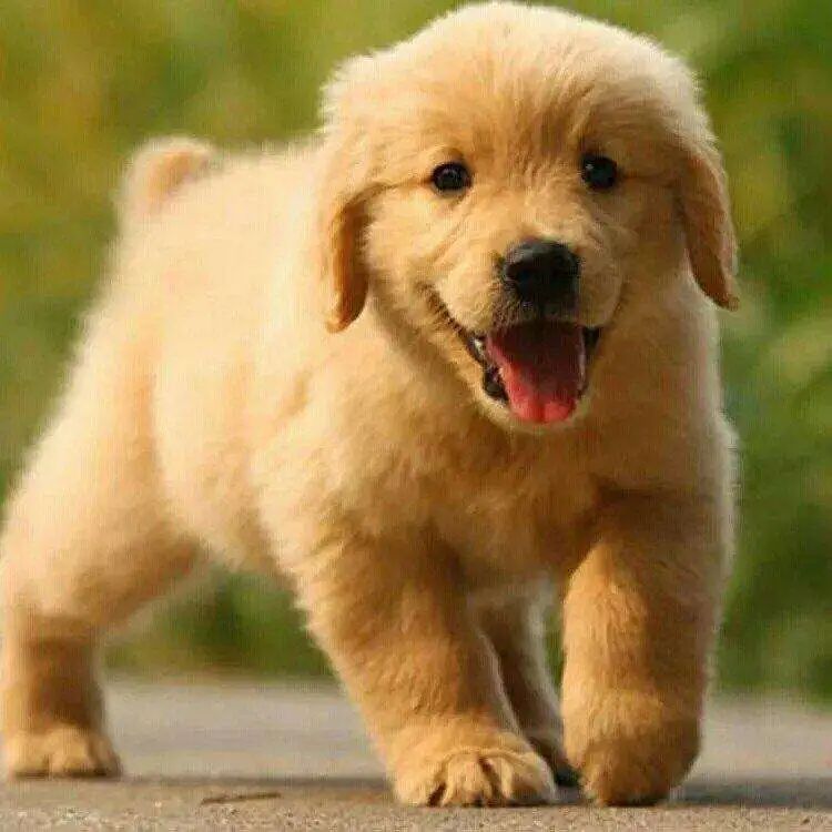 香喷喷正确使用方法,喷香满屋快速除味