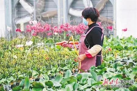 #疫情防控临夏在行动#【决战决胜脱贫攻坚】书写决战脱贫攻坚的春天答卷—甘肃全力推进脱贫攻坚任务落实纪实