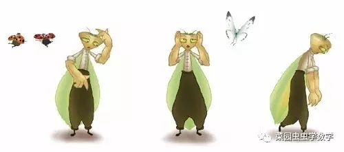 菜园虫虫学数学：种豆苗（植树问题）