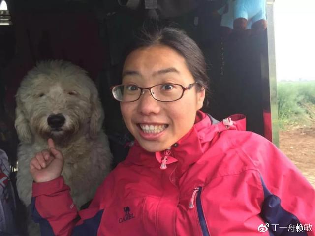 请留意寻找一条叫阿宝的工作犬