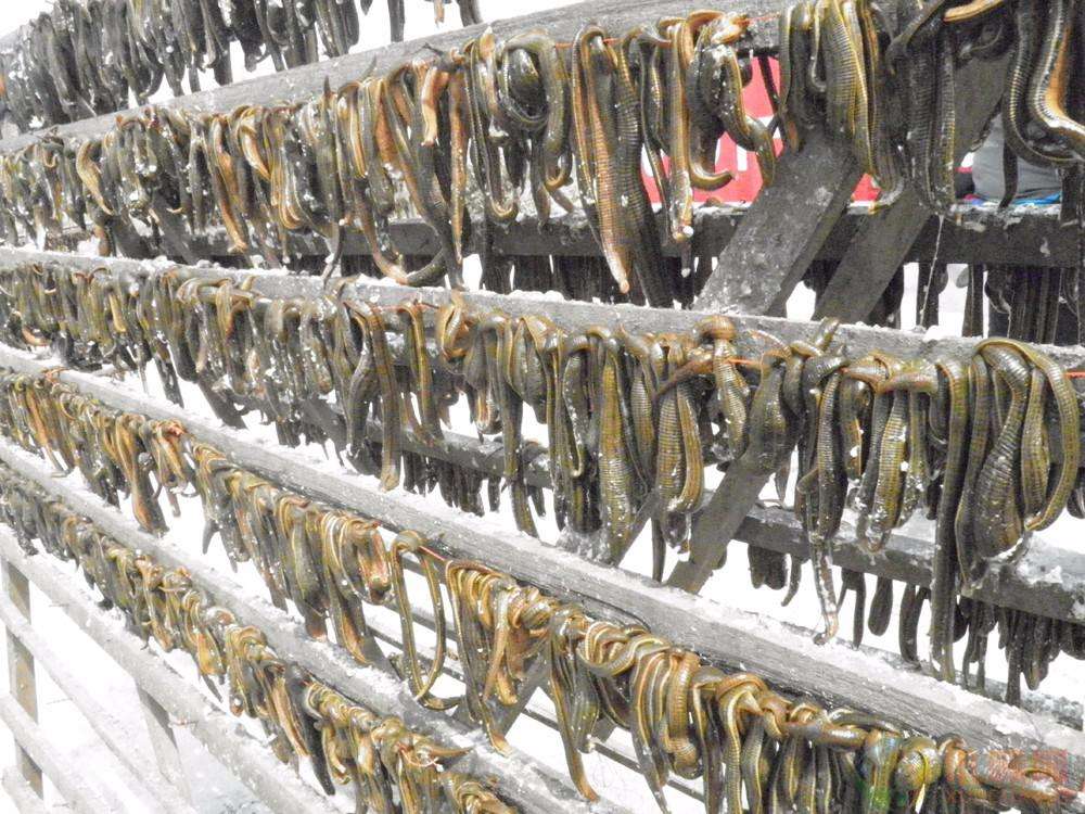 农民创业需要注意哪些套路,农民创业一定要注意哪些套路