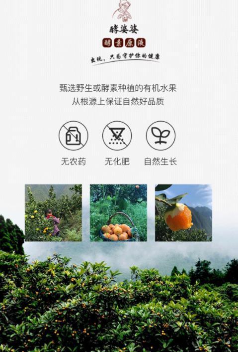 酵素有哪些,环保酵素的功效与作用及用法