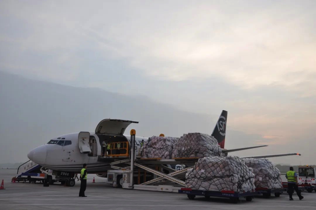 疫情下航班停航、航空运力锐减，航空货运接下来该怎么走？