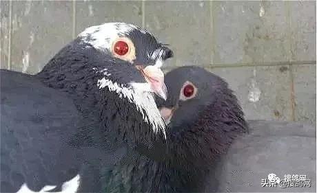 中国最古老的碑文,中国最古老的铭文