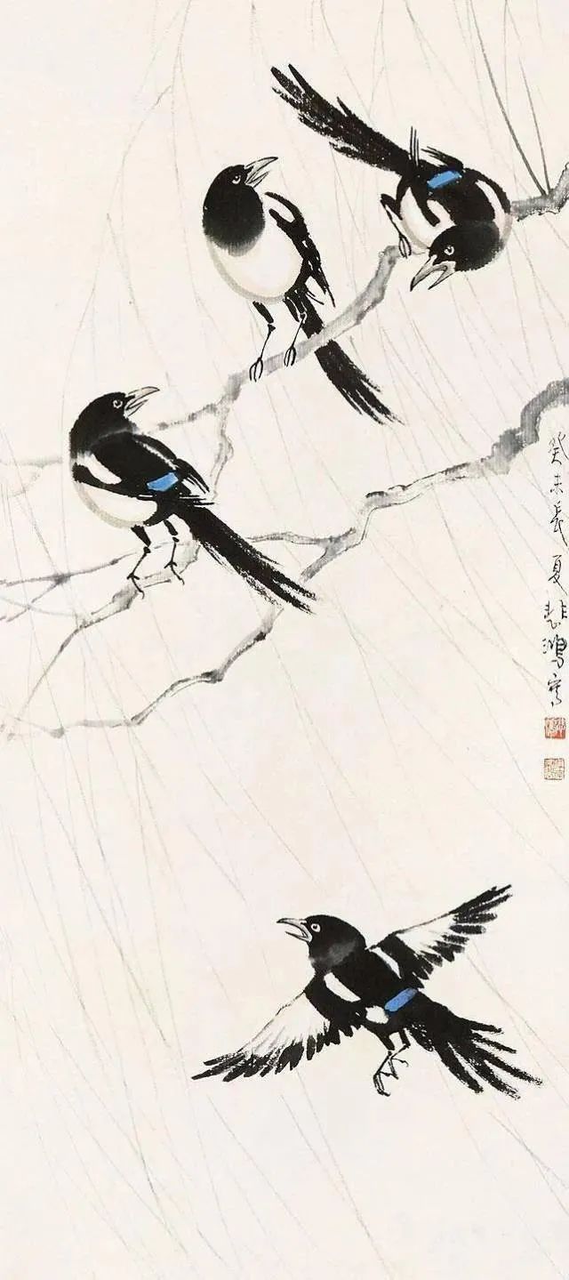 慢慢学花鸟｜这胖胖的哑嗓大黑鸟怎么成了“喜”鹊？