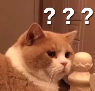 女子自带照片扯结婚证遭拒绝,女子带照片扯结婚证被拒绝