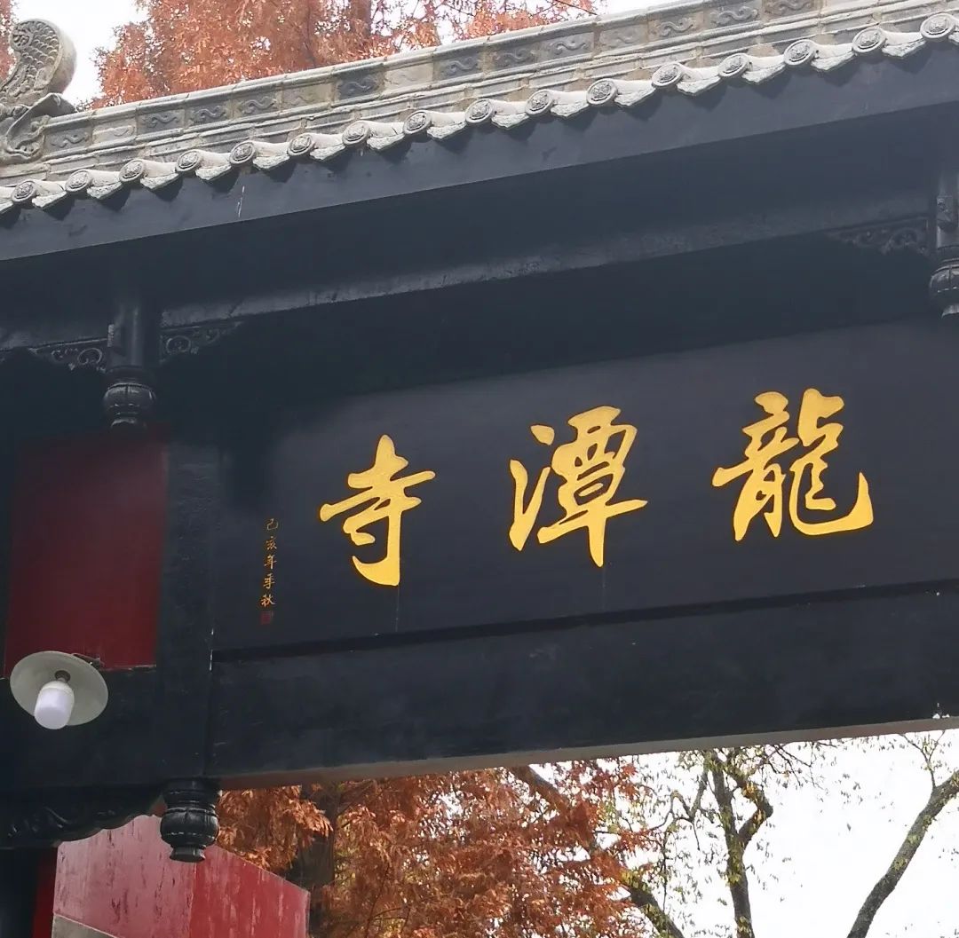 成华教育洼地,成华区教育资源最好的小区