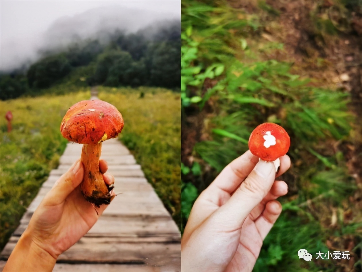 北京精品步道,北京最美十大登山步道