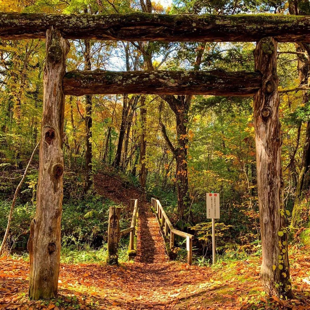 养老手游2020,月兔手游攻略