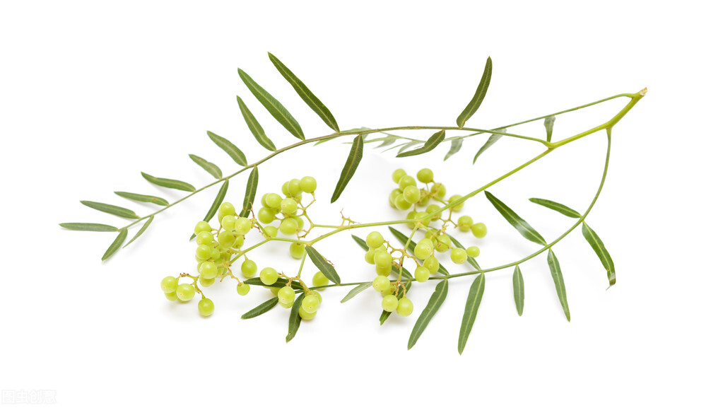 白胡椒与黑胡椒的区别哪个好吃,黑胡椒和白胡椒有什么区别煲汤