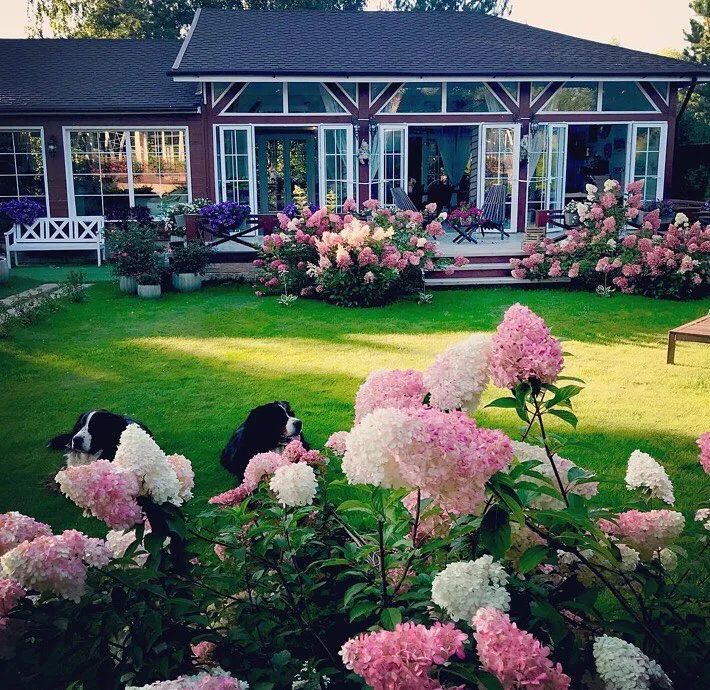 小面积庭院景观,庭院微地形绿化效果图