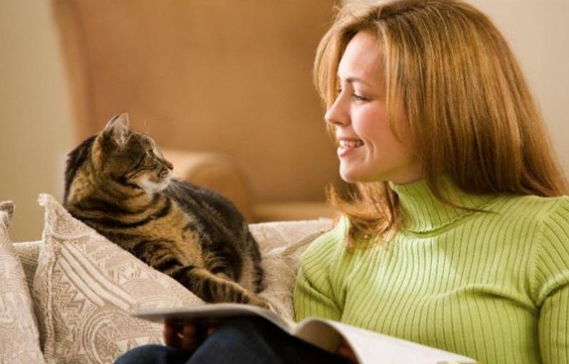 养猫的四个好处养了就是人生赢家,养猫的12个好处养过的人才懂