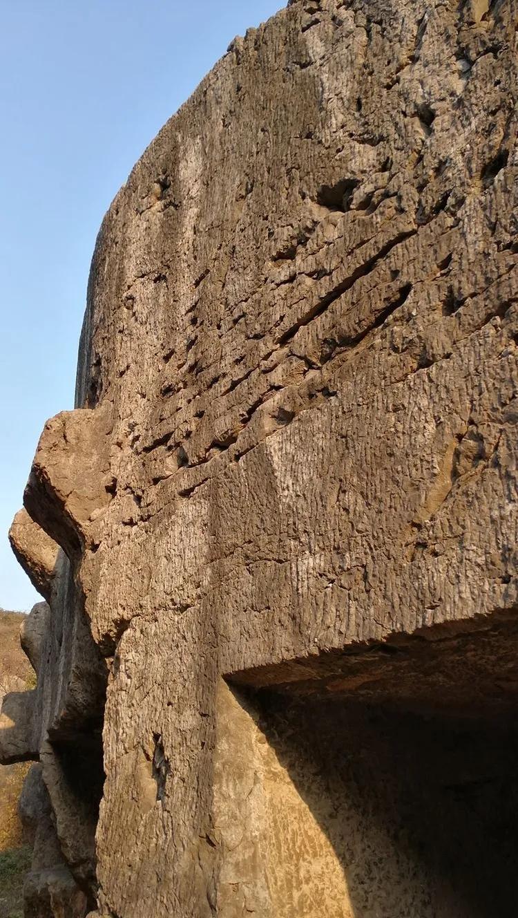 大明王朝毁堤淹田,大明王朝为什么要毁堤淹田