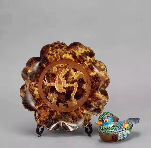 玳瑁海底软黄金,黄金玳瑁