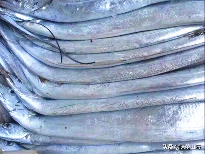 清蒸带鱼用哪产的带鱼,腌制带鱼的最正确清蒸带鱼方法