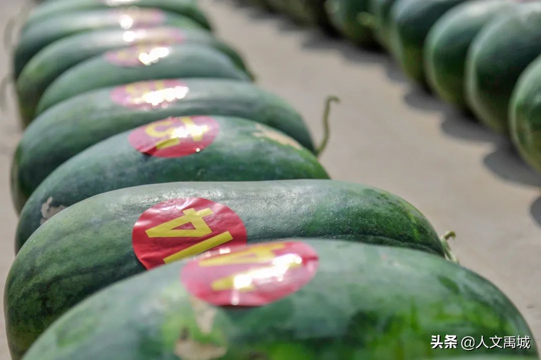 瓜瓜乐最新消息,刮刮乐最新动态