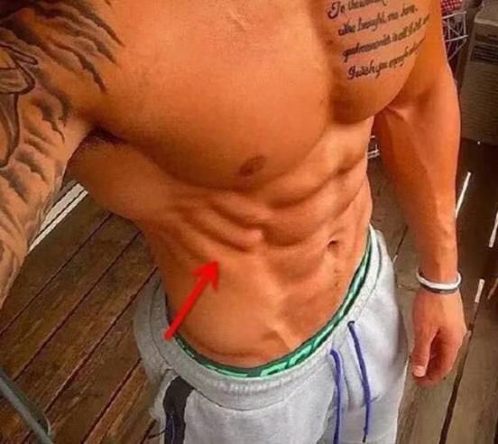 健身爱好者口中的鲨鱼线,鲨鱼线的正确锻炼方法