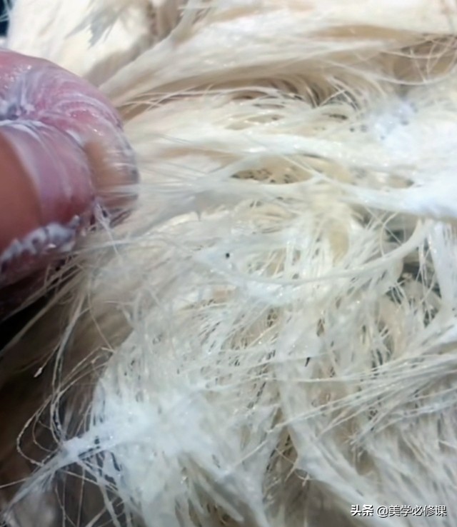 发型师不会推的发色,发型师不会设计颜色